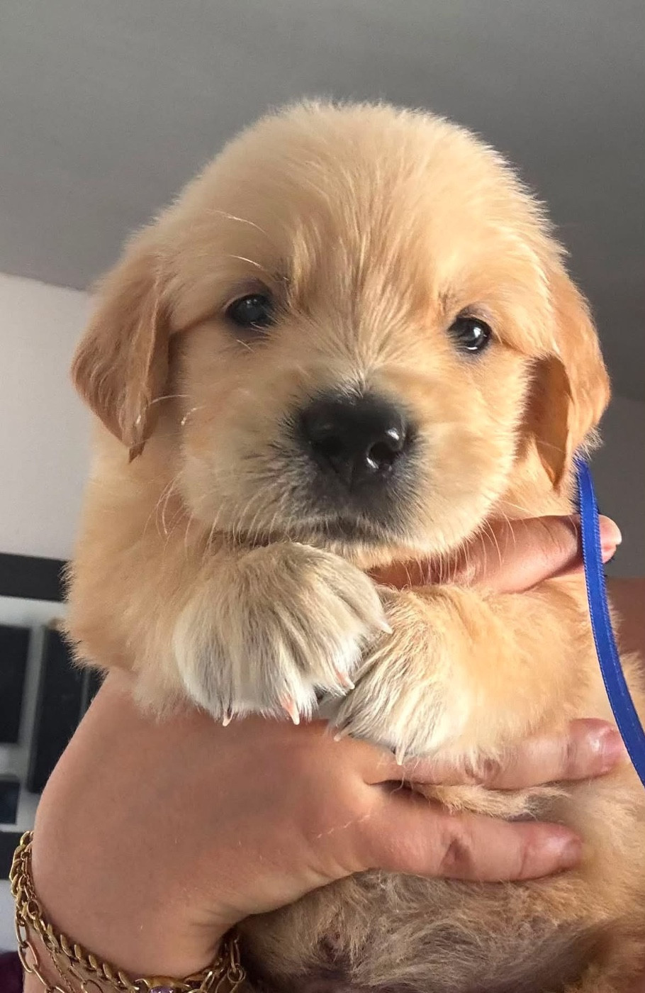 Vidéos et photos de nos bébés